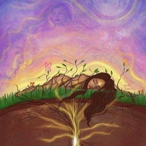 Meet your Posher, Lucy